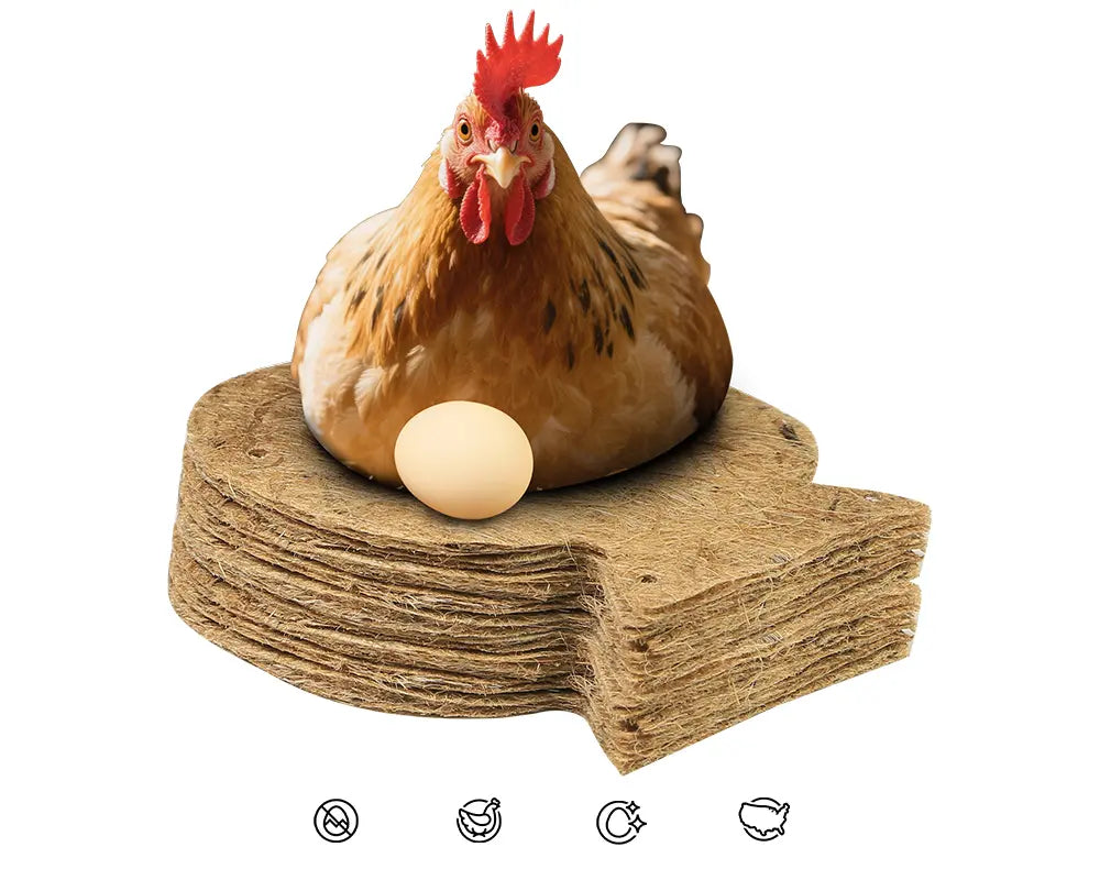 The_hen_lays_eggs_on_the_chicken_nest_pad