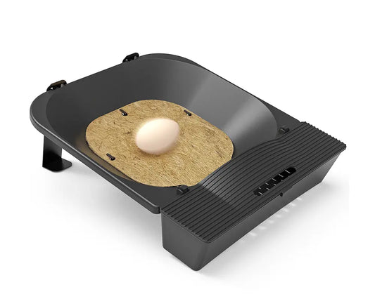 The_process_of_eggs_rolling_down