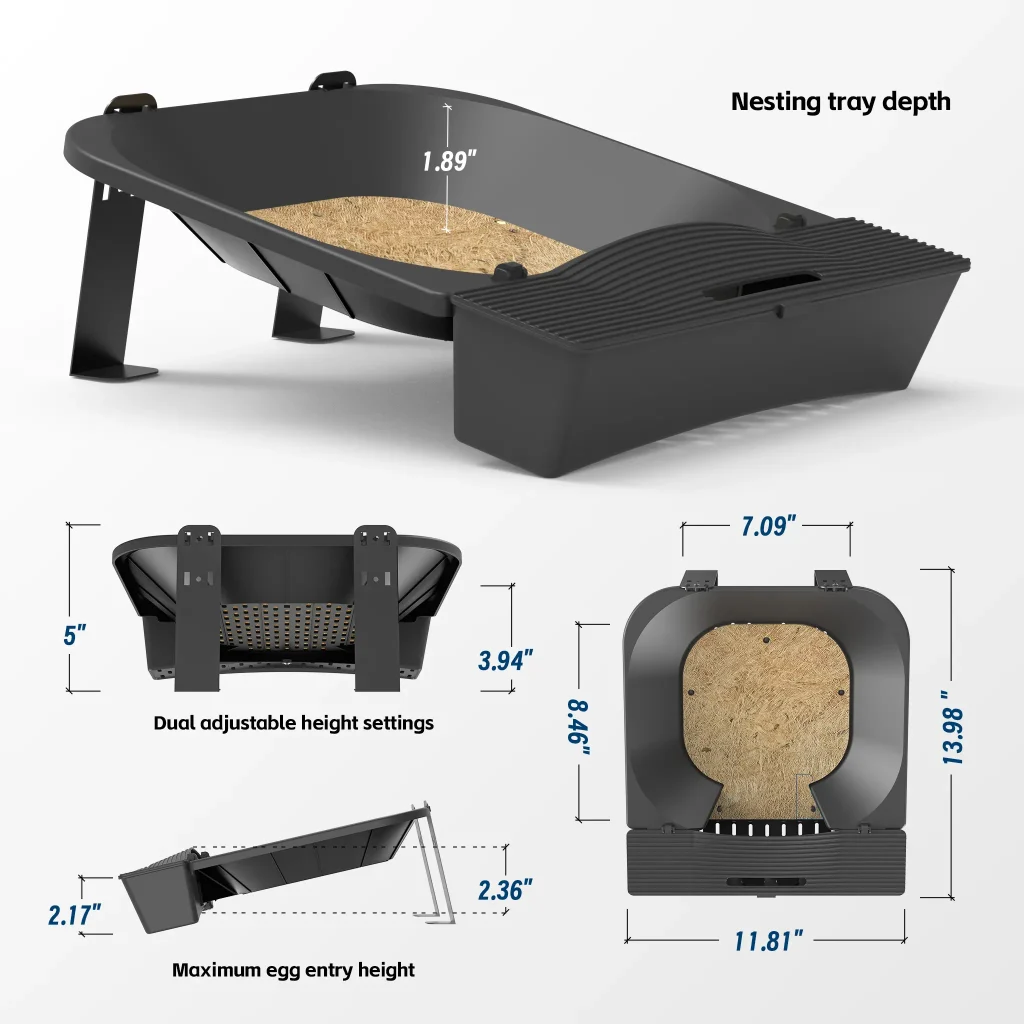 Dimensions chart for the adjustable height roll-away chicken nesting box, showing dual height settings and measurements for hen comfort.