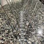 Pre-Installed Stainless steel Bird Spikes